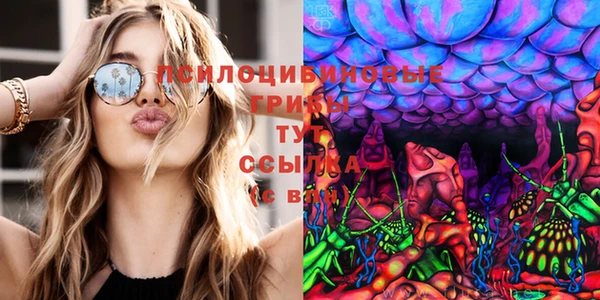 spice Балахна